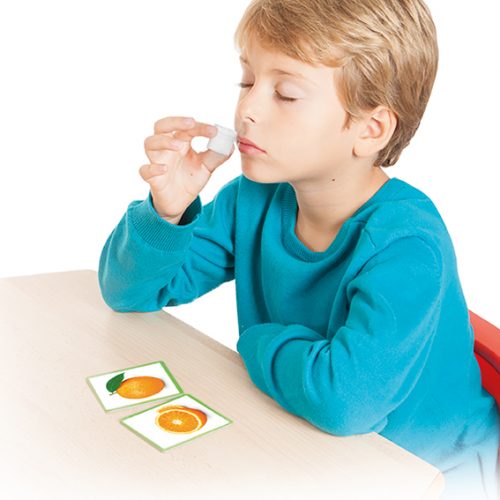 WĘCH OWOCE I ICH ZAPACHY